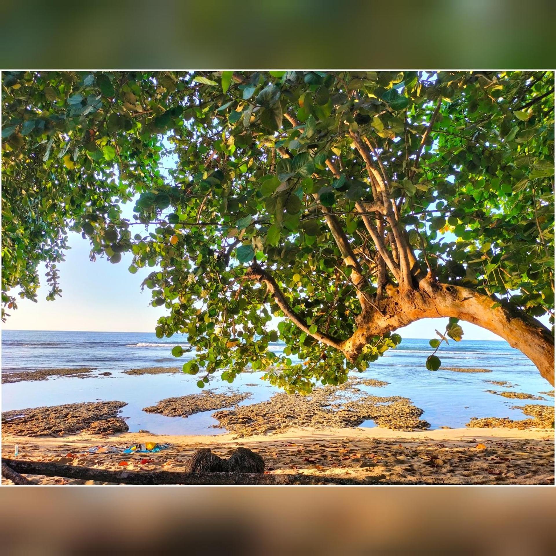 Cabinas Coconut Grove Puerto Viejo de Talamanca Zewnętrze zdjęcie