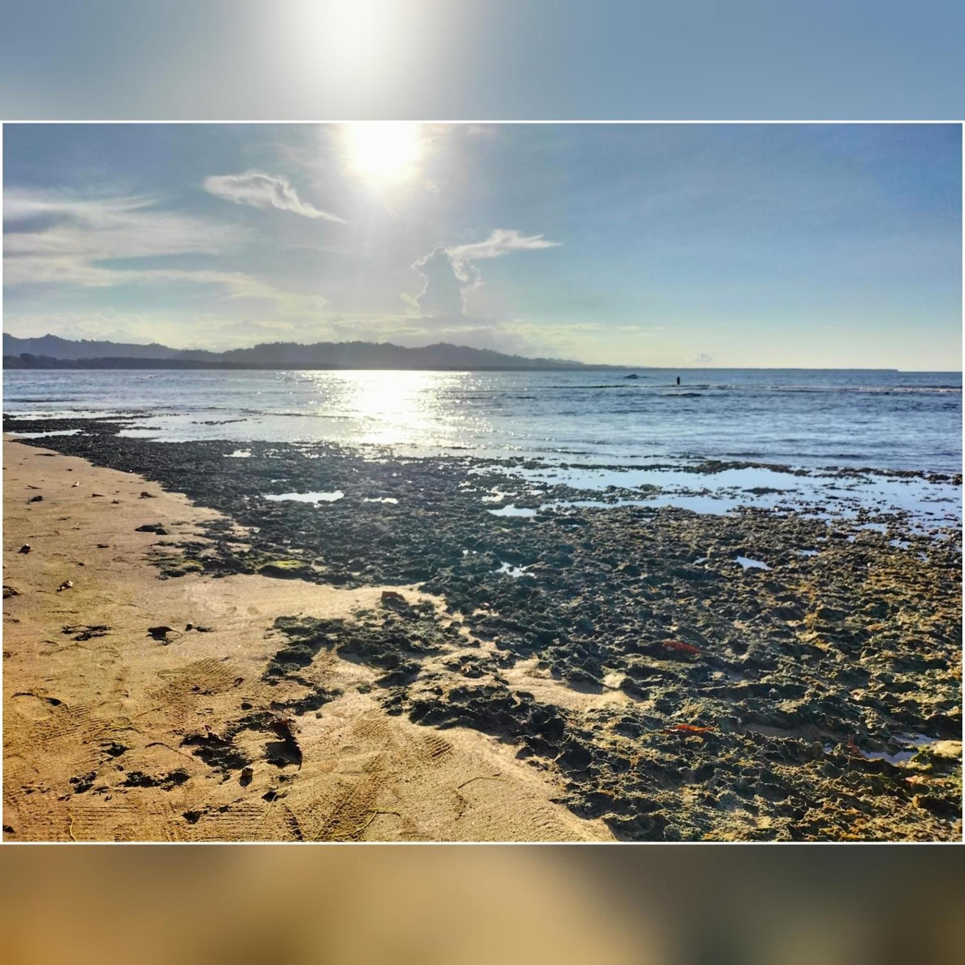 Cabinas Coconut Grove Puerto Viejo de Talamanca Zewnętrze zdjęcie